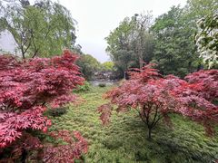 -大明寺素斋