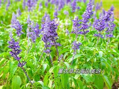 -英西峰林·洞天仙境