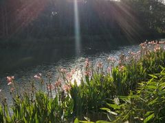 -昆山城市生态森林公园