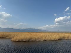 -野鸭湖国家湿地公园