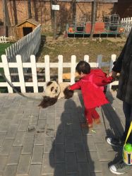 -上美四季动物农场