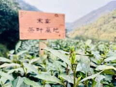 -宋宴(虎跑店)