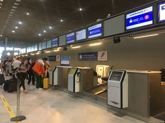 -戴高乐机场火车站