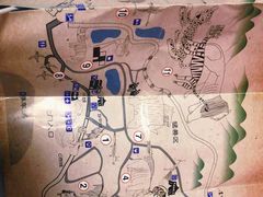 -青岛森林野生动物世界