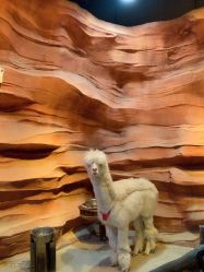 -酷嗒动物文化乐园(cutezoo西溪乐天城店)