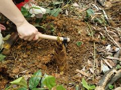 -铁山坪森林公园