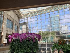 -上海外滩茂悦大酒店