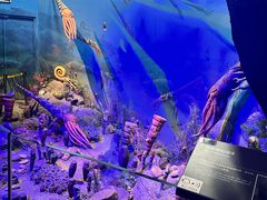 -浙江自然博物院(杭州馆)