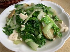 青菜豆腐-老火大骨头汤馆
