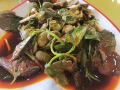 -胖大姐黄辣丁鱼庄(新津店)