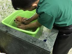 -瑞鹏宠物医院·微创内窥镜·骨外科·牙科(翠竹分院)