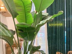 -甜莺蛋糕(顺盈时代广场店)