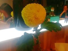 -友达面馆(二七南路店)