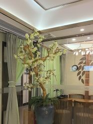 点击看大图 -芳朵美容养生SPA