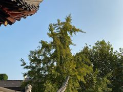 -上海白云观