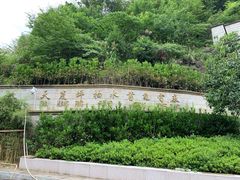 -长谷洞天