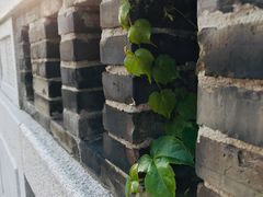 -昆山城市生态森林公园