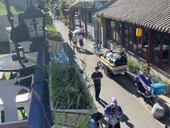 -Sirena海妖日咖夜酒