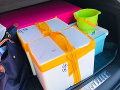 -吕四渔港码头海鲜餐厅