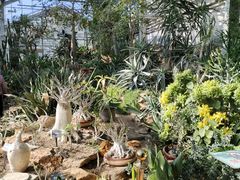 -国家植物园南园