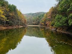 -青龙山国家森林公园