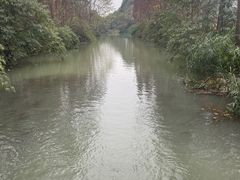 -桤木河湿地公园