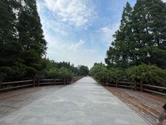 -上海滨江森林公园