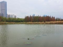 -艾溪湖湿地公园