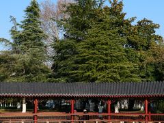 -堤角公园