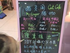 -三花喵·撸猫购宠·宠物生活馆(虹桥南丰城店)