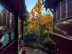 -青城山