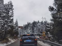-武陵山森林公园