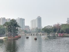 -荔湾湖公园