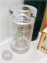 -金太子形象设计