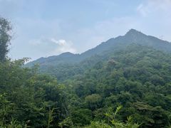-南丹山森林王国