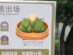 -上海佘山国家森林公园东门地面停车场