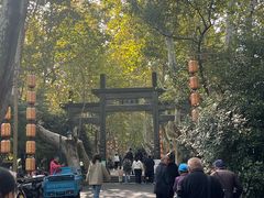 -杭州黄龙洞
