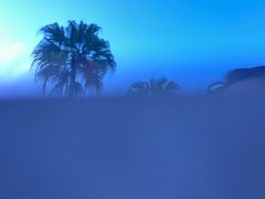 -重庆海昌加勒比海水世界