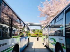 -上海南浦大桥长途旅游客运站