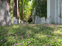-苏州大学(天赐庄校区)