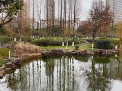 -月湖公园