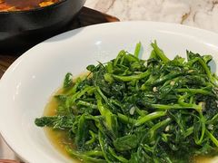 清炒豌豆尖-新川办餐厅