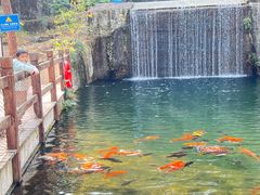 -千岛湖东南湖区