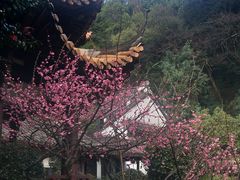 -杭州黄龙洞