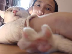 -屋虎猫馆(宝安大仟里店)