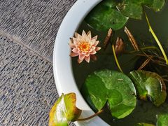 -西安市广仁寺