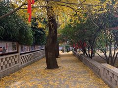 -青岛崂山太清宫
