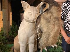 -清迈夜间动物园