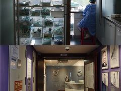 -精德口腔·种植修复·儿牙中心(财富中心店)