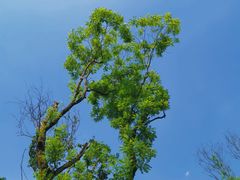 -白鹭湾湿地公园